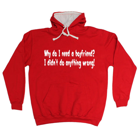 123t Why Do I Need A Boyfriend I Didn't Do Anything Wrong Funny Hoodie