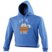123t If It Fits It Sits Cat In A Box Design Funny Hoodie